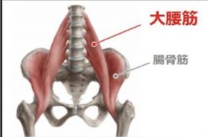 家で出来る筋トレ！