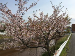 今日はいい天気ですがいかがお過ごしでしょうか？