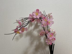 花見しました！