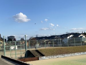 今年最後の！