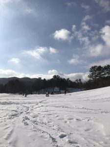 気になる〜✨