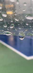 雨でしたね☔️