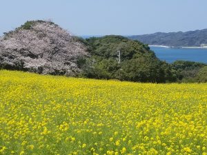 春休み短期教室空き状況！(^^ )  ☆♪