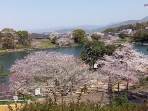 さらに追加しました！