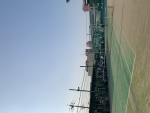 コツコツ