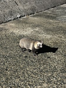 まだまだ空いてます！