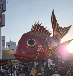 元気をもらいました‼️