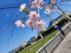 明日は休校日❗