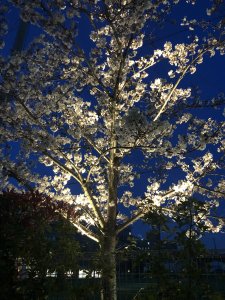 大切なのは・・・水分補給！！！