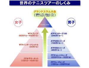 今月のATP&WTA 🎾