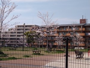 30・31は休校日！