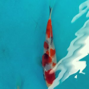 私の休日！☺