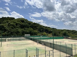 日差しが強い💦