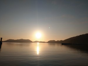 休館日　Day⑤～接着開始＆また来るね大島～