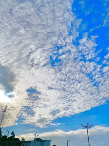 秋空が綺麗です！🍂