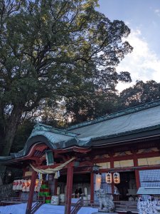 明けましておめでとうございます！お餅つきは雨天決行！！