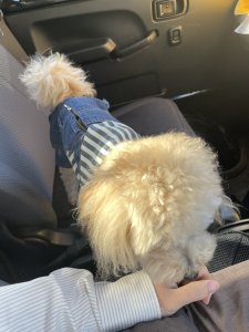 加藤コーチのGW