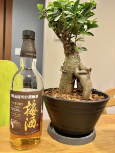 🧘Fitnessやまちゃん🧘‍♂️