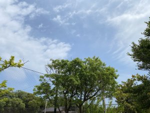 真夏が迫っている