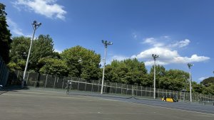 新たに