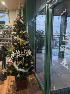 クリスマス気分満点！ラフが冬の装いに！！