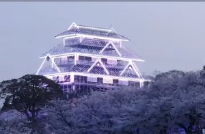 お花見🌸