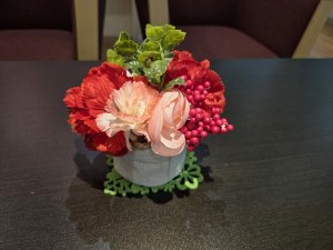 ５月、スタート🌱