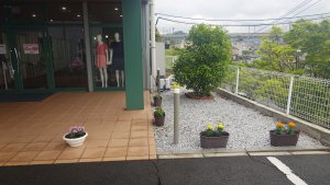 入口のお花が代わりました
