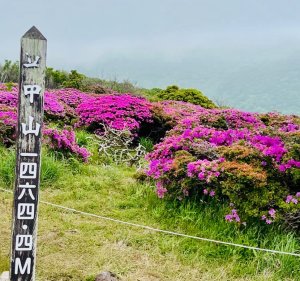 そろそろ、あの季節✨