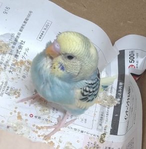 GWの過ごし方