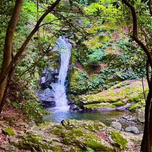1日何歩歩いてますか？