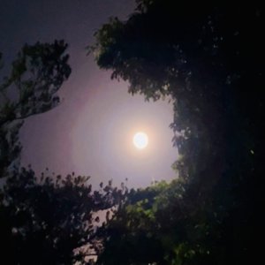 秋の夜長に・・・