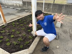 終わりが、、、