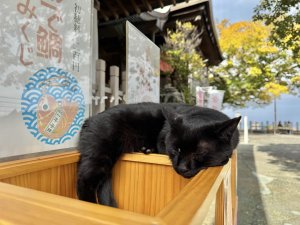 12月も宜しくお願いいたします！🎾