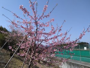 アカデミー選手合宿やりました！